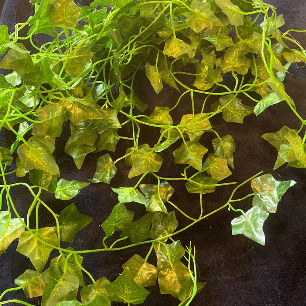 Ivy decor